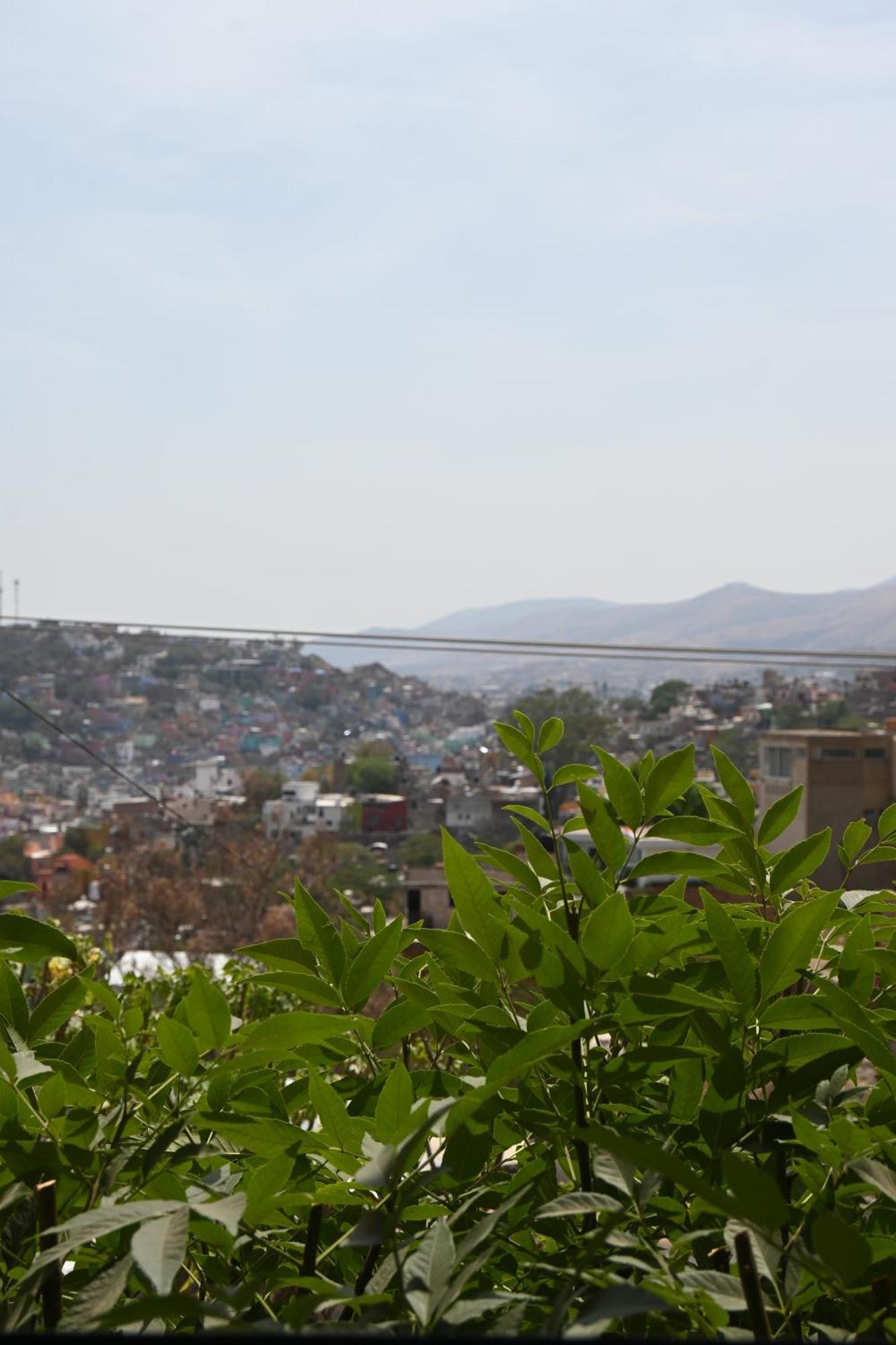 Hotel Casa 12 Reales Guanajuato Kültér fotó